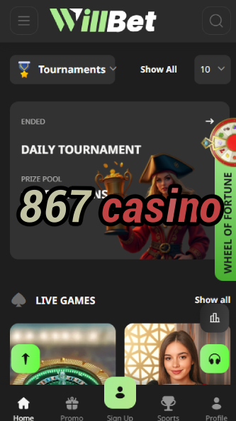 867 Casino - Best Online Casino Experience-casinocasi.ydblkf.net