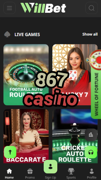 867 Casino - Best Online Casino Experience-casinocasi.ydblkf.net
